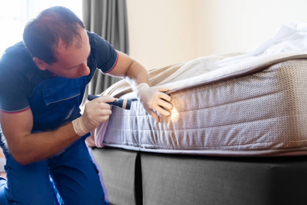 Best Fumigation Services  in St John, MO